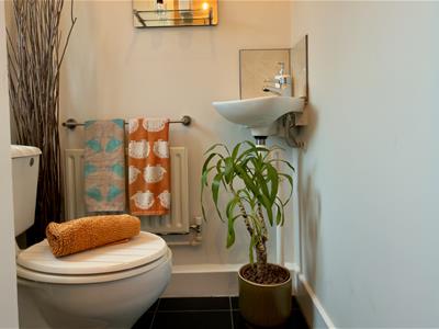 Picture 19